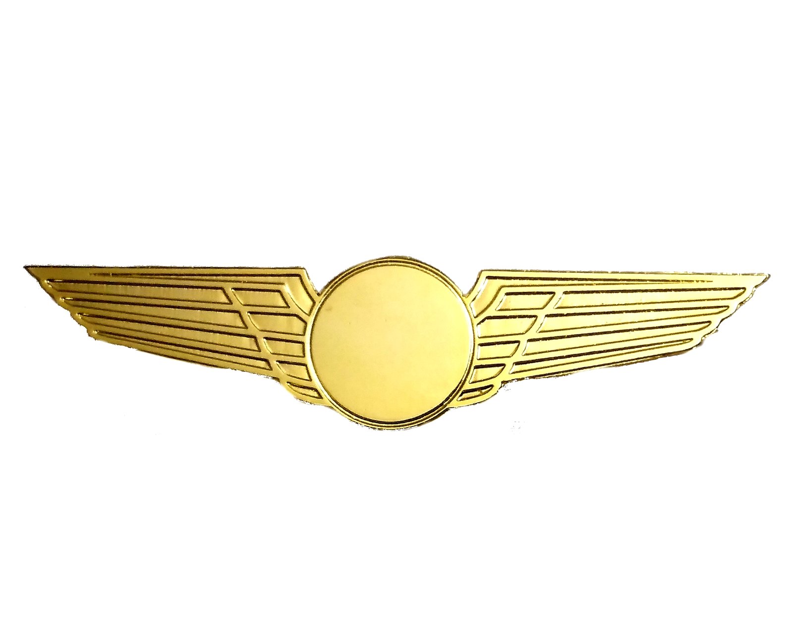 Pilot Wings Logo
