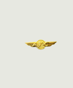 ATC Gold Airplane Wing Brooch for Pilots & Cabin Crew | Premium Metal Aviation Badge with Butterfly Clutch