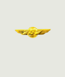 787 Gold Aviation Wing Shaped Airplane Brooch | Fade-Proof & Scratch-Proof Metal Badge with Butterfly Pin | Gift for Pilots, Cabin Crew & Aviation Lovers