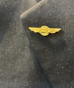 Alternative view of 787 Gold Aviation Wing Shaped Airplane Brooch | Fade-Proof & Scratch-Proof Metal Badge with Butterfly Pin | Gift for Pilots, Cabin Crew & Aviation Lovers