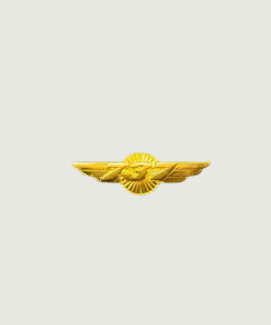 737 Gold Aviation Wing Shaped Airplane Brooch | Fade-Proof & Scratch-Proof Metal Badge with Butterfly Pin | Gift for Pilots, Cabin Crew & Aviation Lovers.