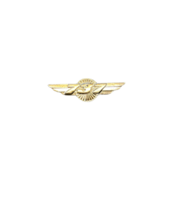 737 Silver Aviation Wing Shaped Airplane Brooch | Fade-Proof & Scratch-Proof Metal Badge with Butterfly Pin | Gift for Pilots, Cabin Crew & Aviation Lovers